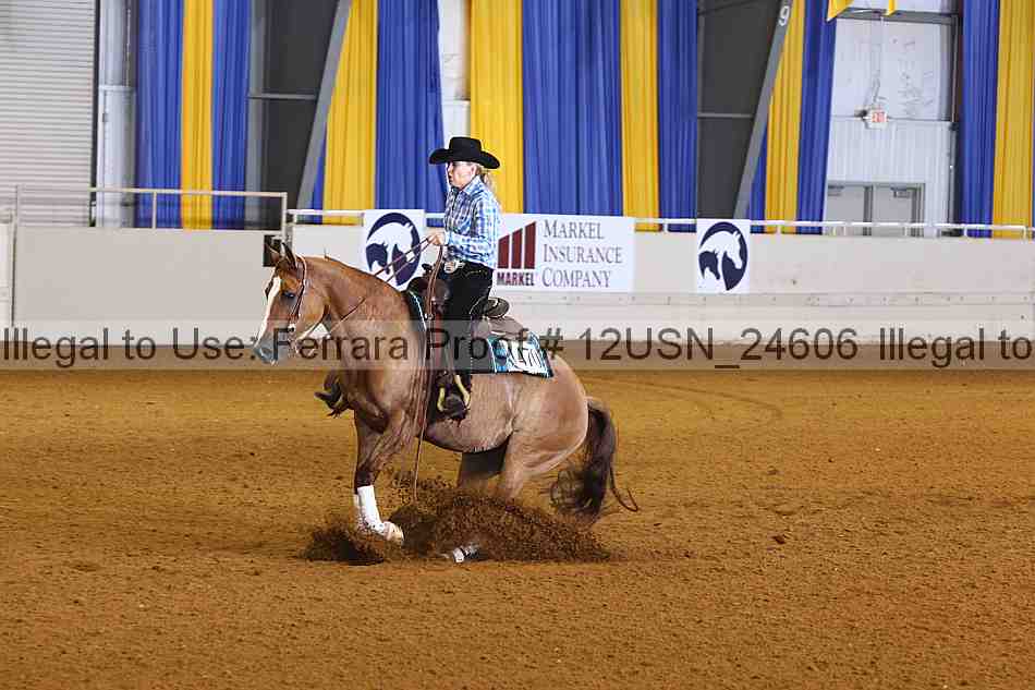 Proof 12usn_24606
