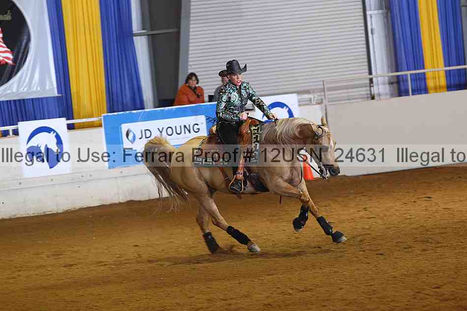 Proof 12usn_24631
