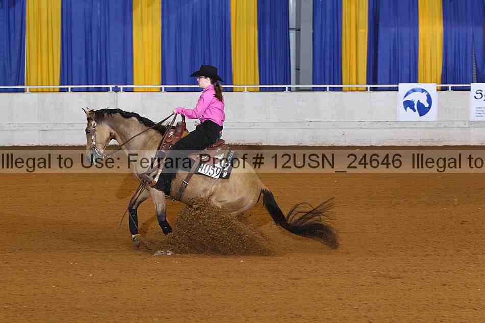 Proof 12usn_24646