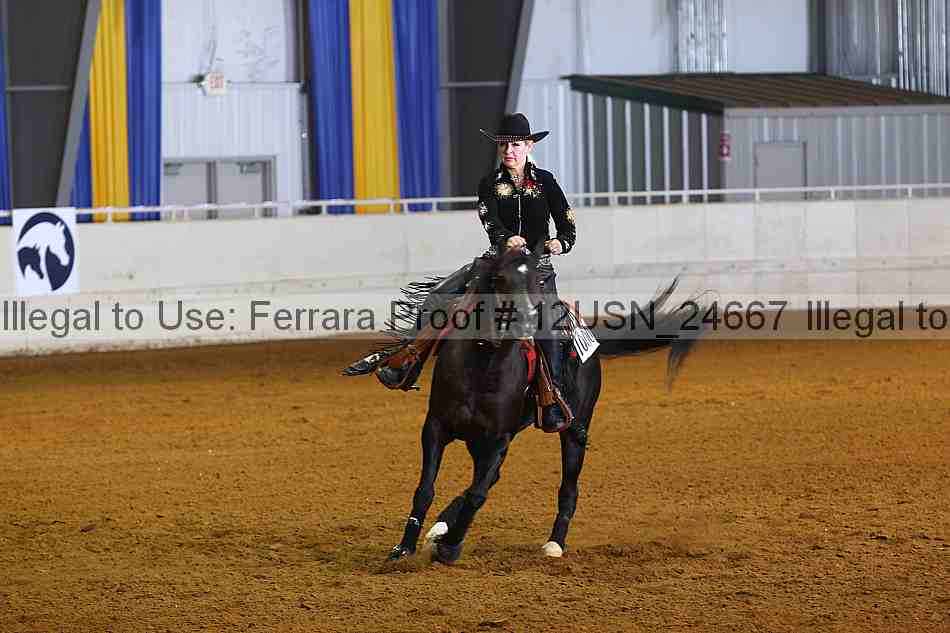 Proof 12usn_24667