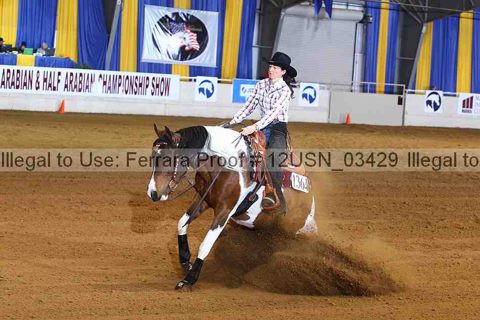Proof 12usn_03429