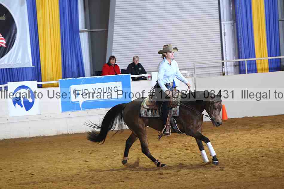 Proof 12usn_03431