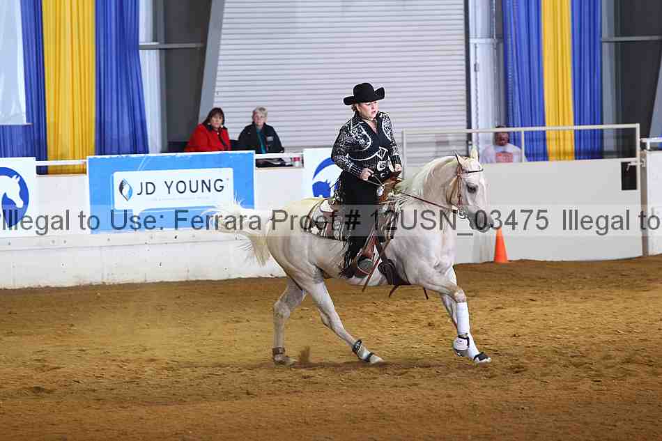 Proof 12usn_03475