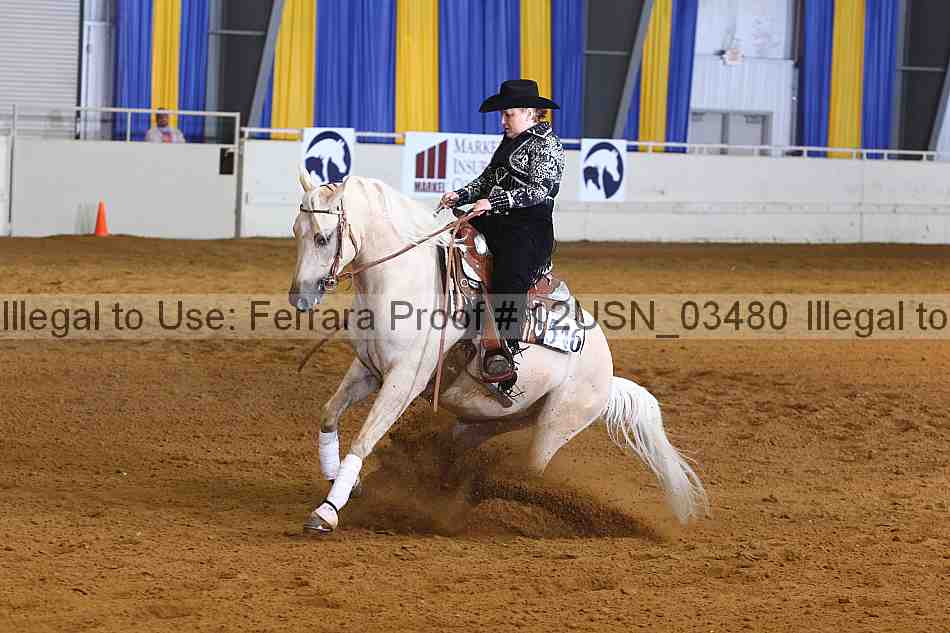 Proof 12usn_03480