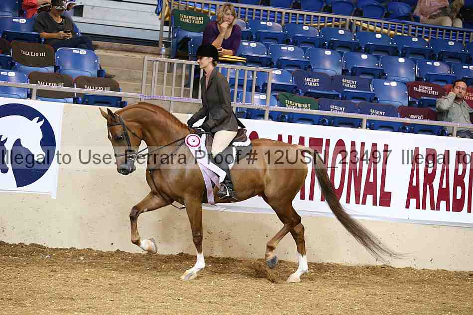 Proof 12usn_23497