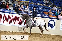 12usn_23501 proof