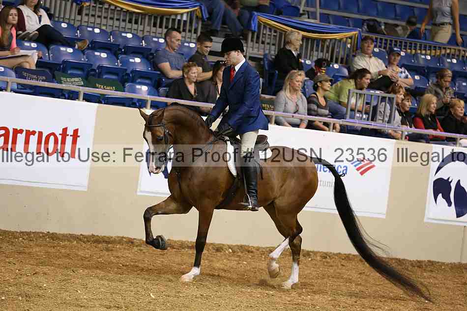 Proof 12usn_23536