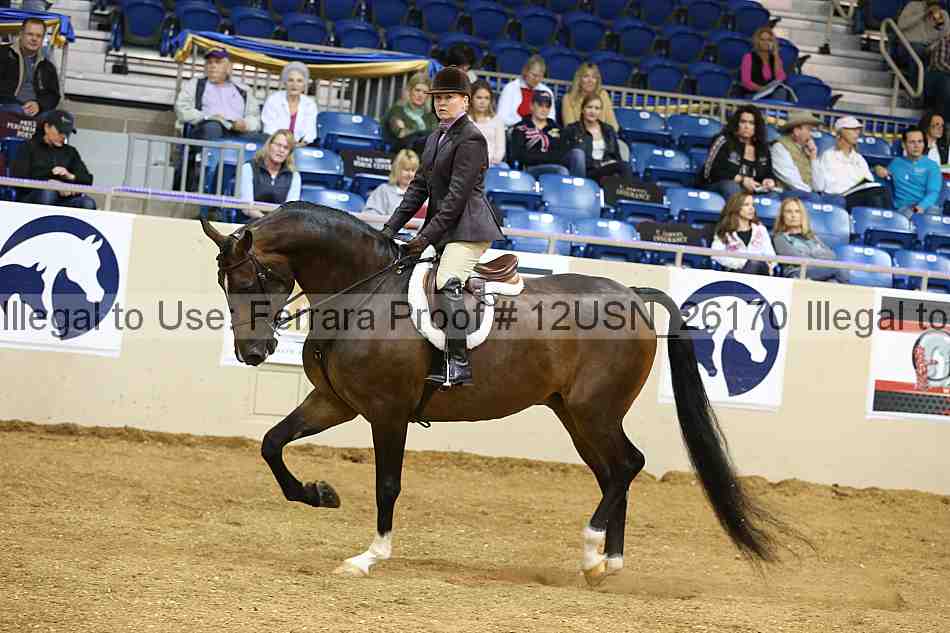 Proof 12usn_26170