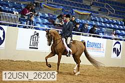 12usn_26205 proof
