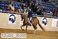 12usn_26206 proof