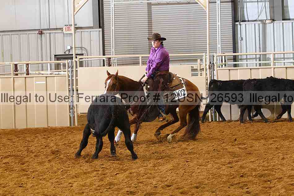 Proof 12usn_26593