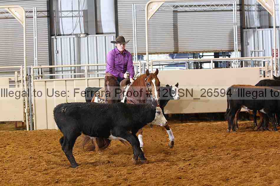 Proof 12usn_26594
