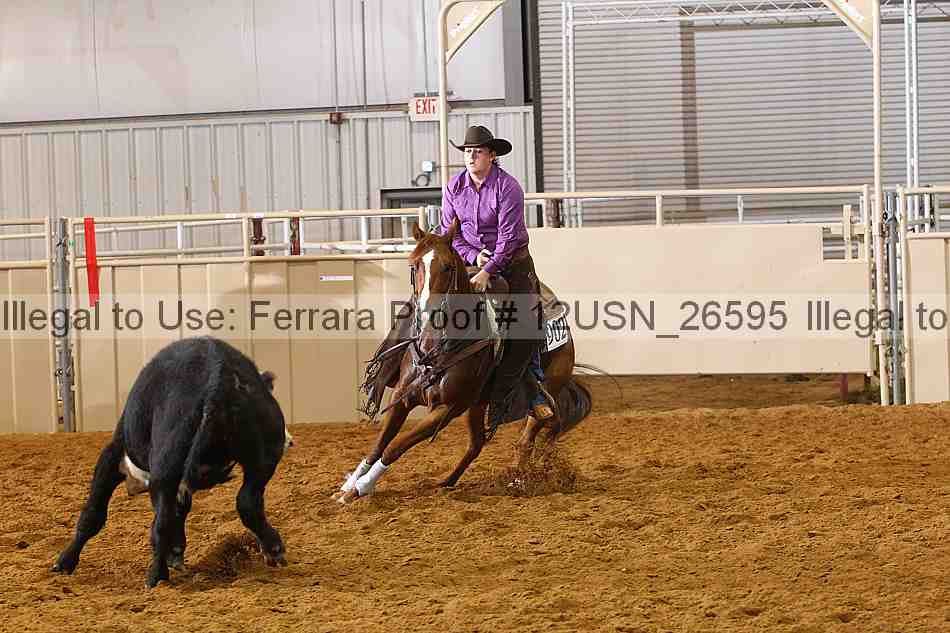 Proof 12usn_26595