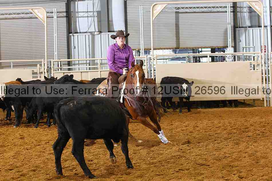 Proof 12usn_26596