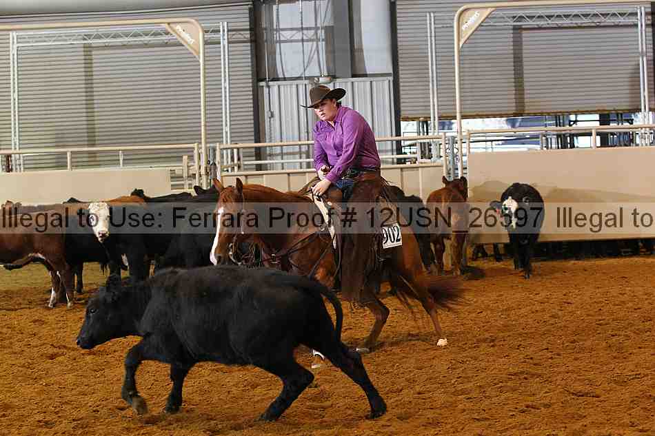 Proof 12usn_26597