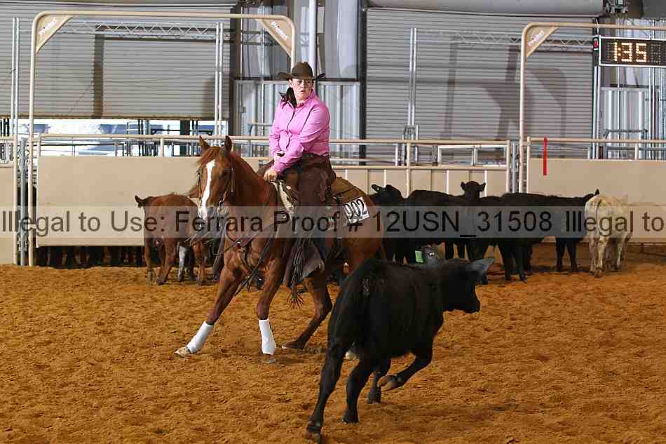 Proof 12usn_31508