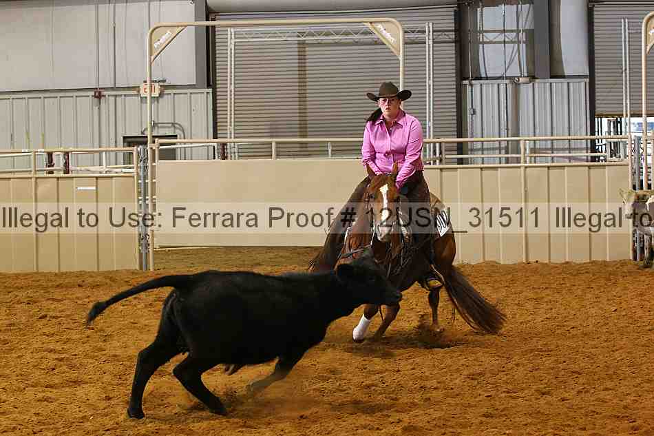 Proof 12usn_31511