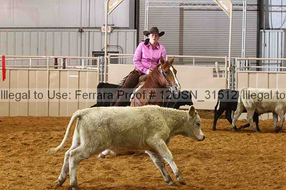 Proof 12usn_31512