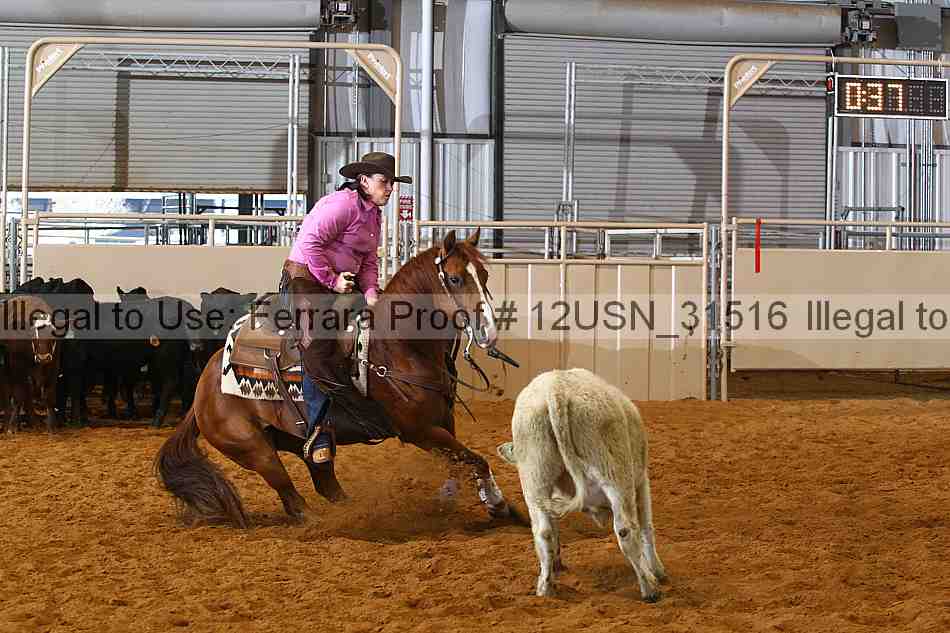 Proof 12usn_31516