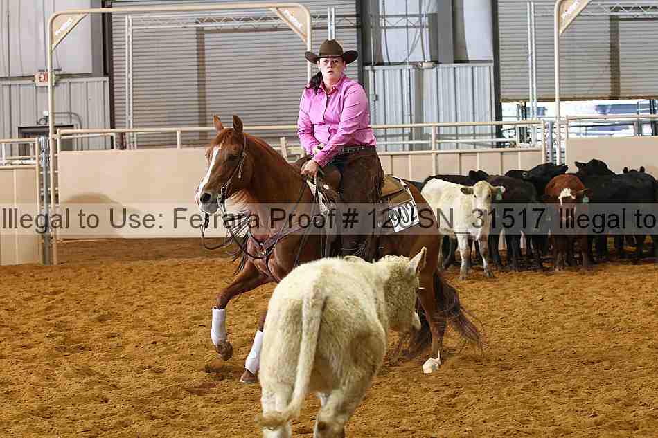 Proof 12usn_31517