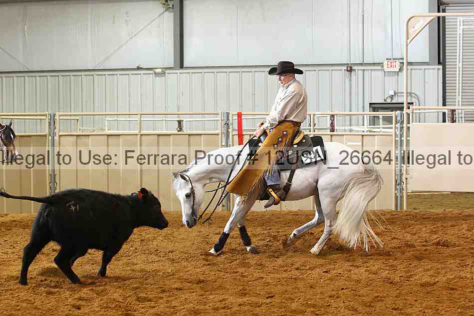 Proof 12usn_26664