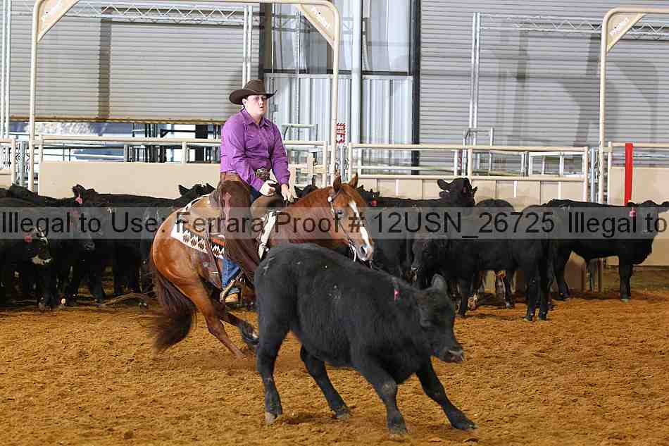 Proof 12usn_26725