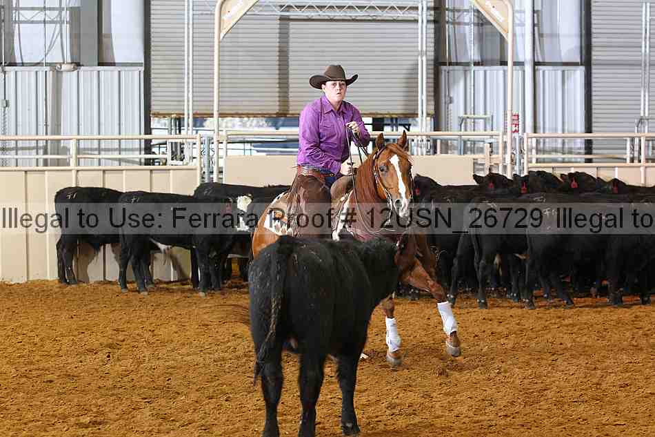 Proof 12usn_26729