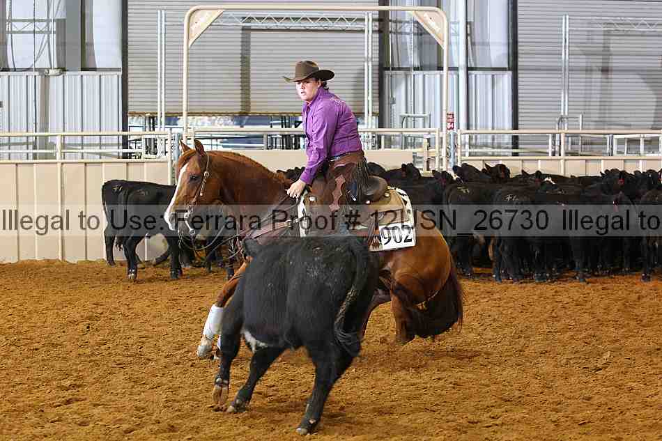 Proof 12usn_26730