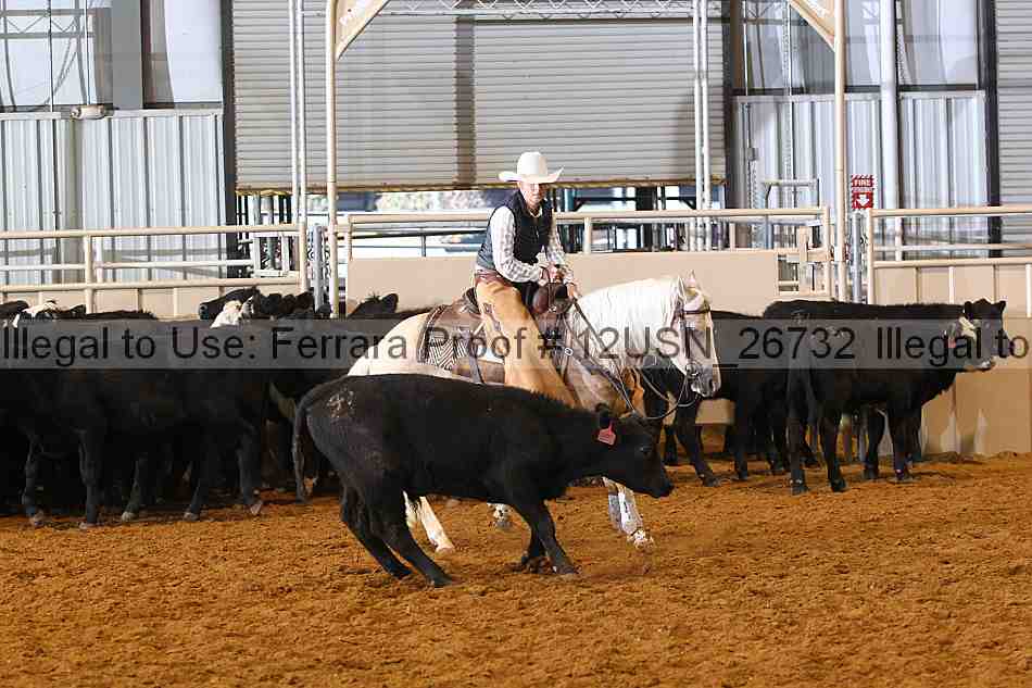 Proof 12usn_26732