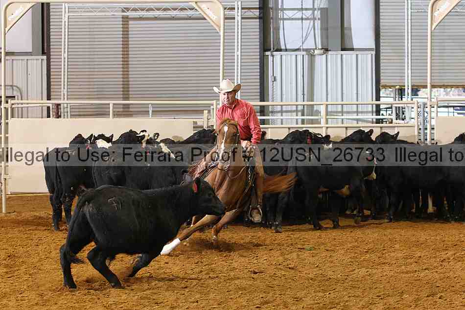 Proof 12usn_26733