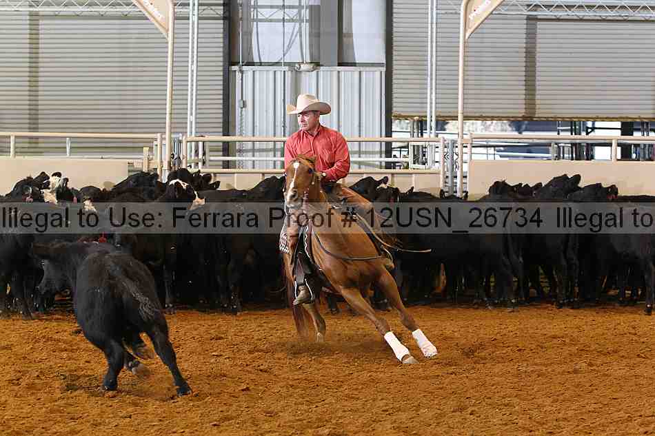 Proof 12usn_26734