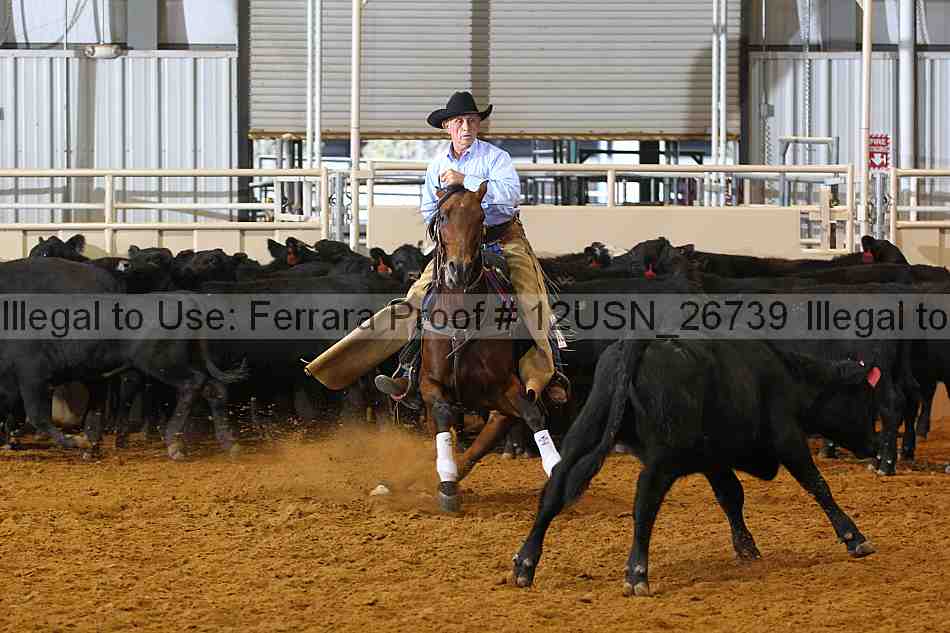 Proof 12usn_26739