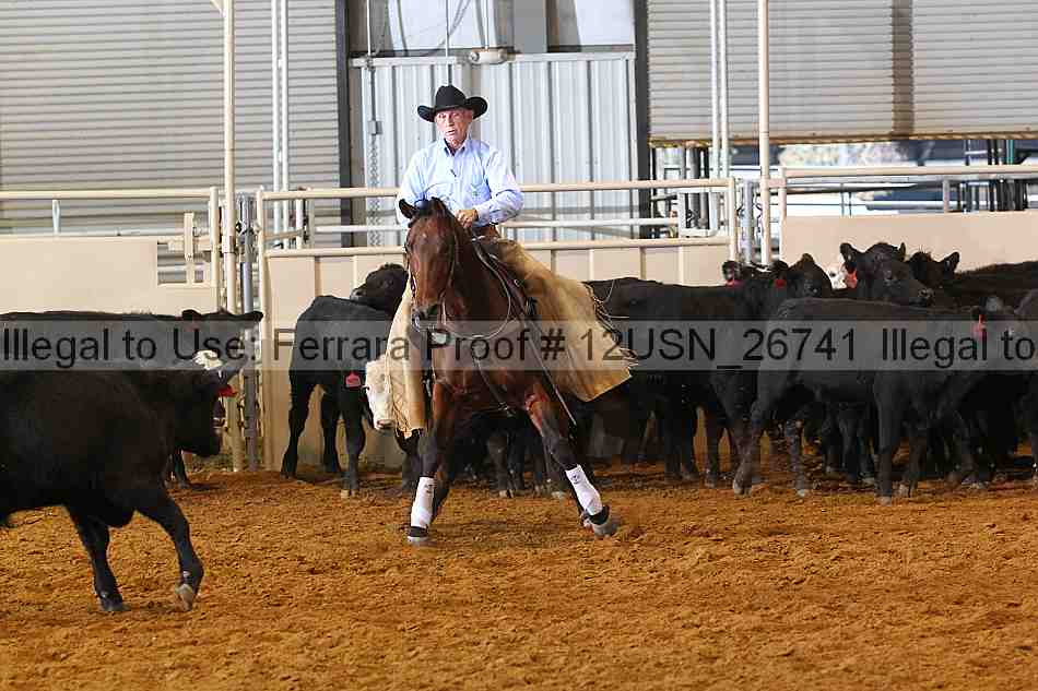 Proof 12usn_26741