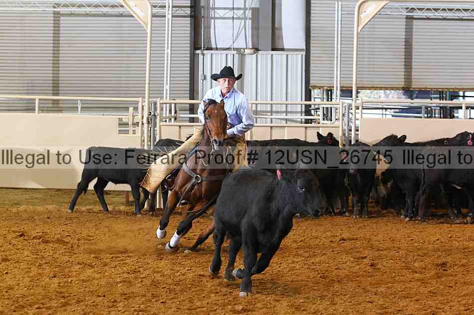 Proof 12usn_26745