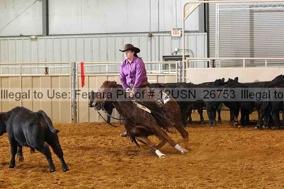 Proof 12usn_26753