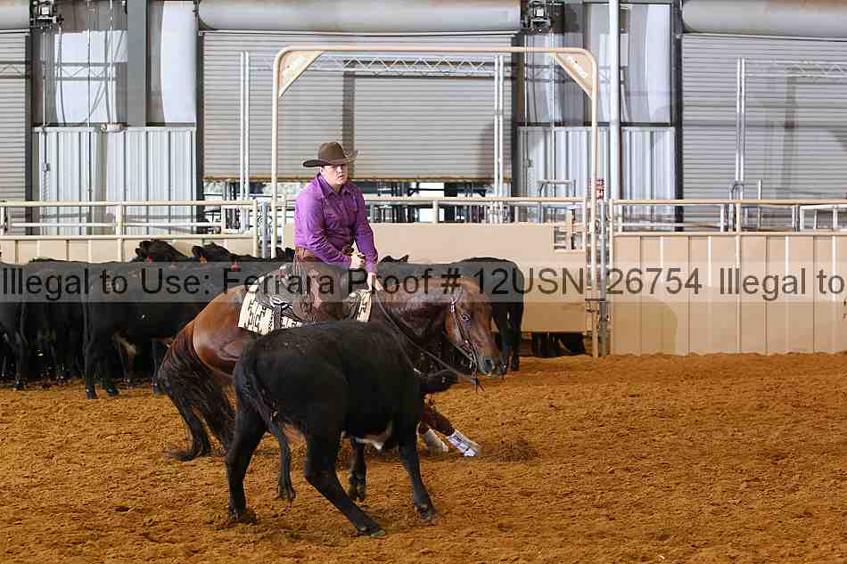 Proof 12usn_26754