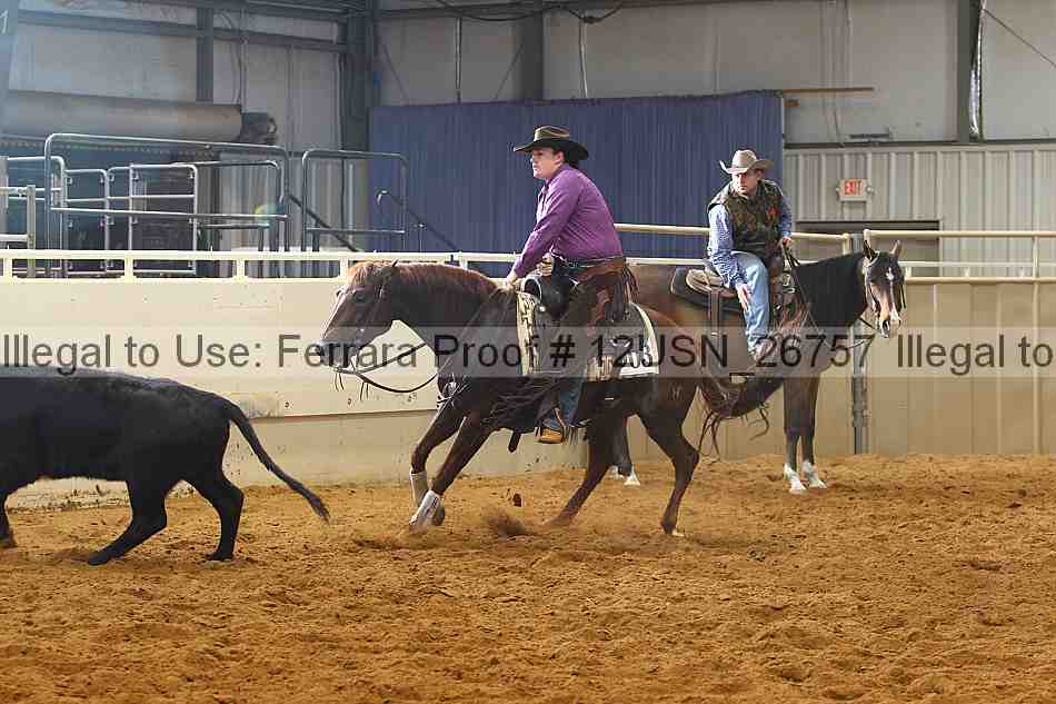 Proof 12usn_26757