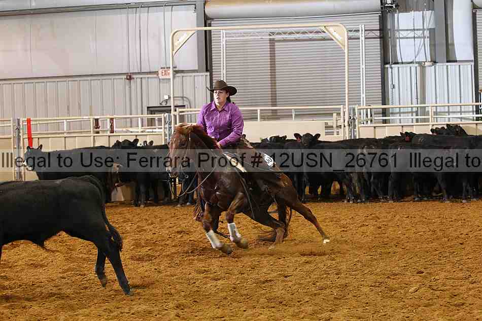 Proof 12usn_26761