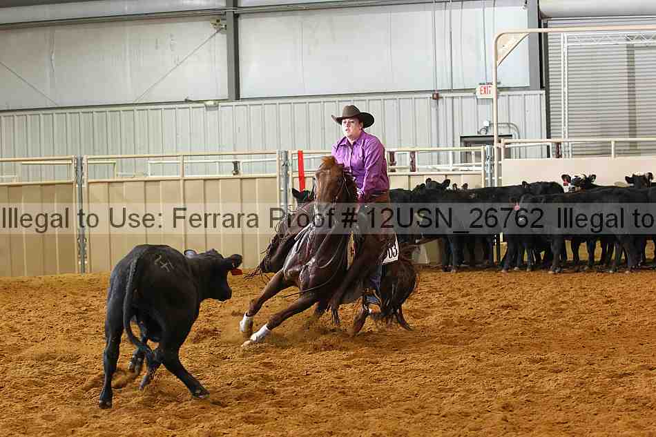 Proof 12usn_26762