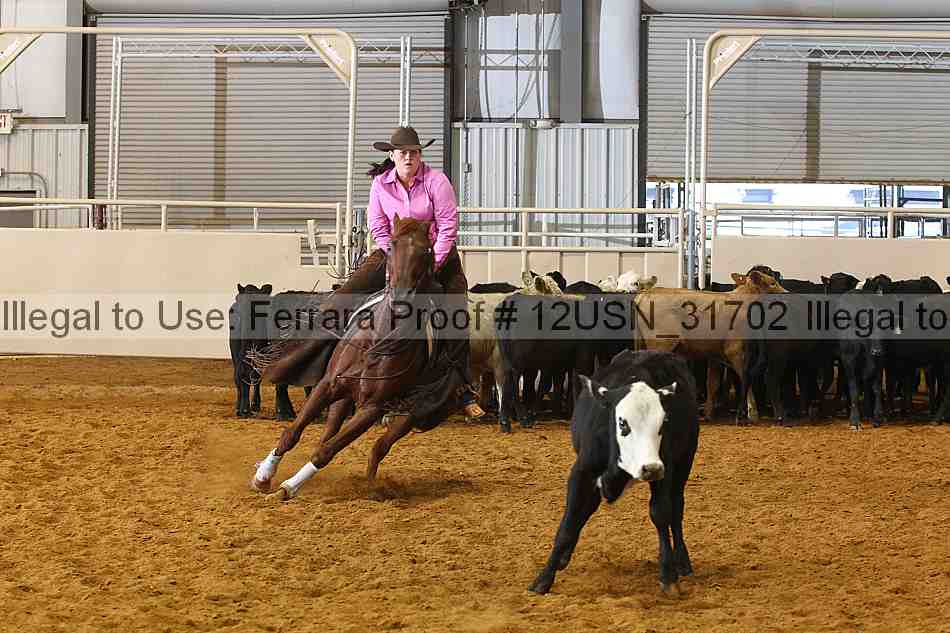 Proof 12usn_31702