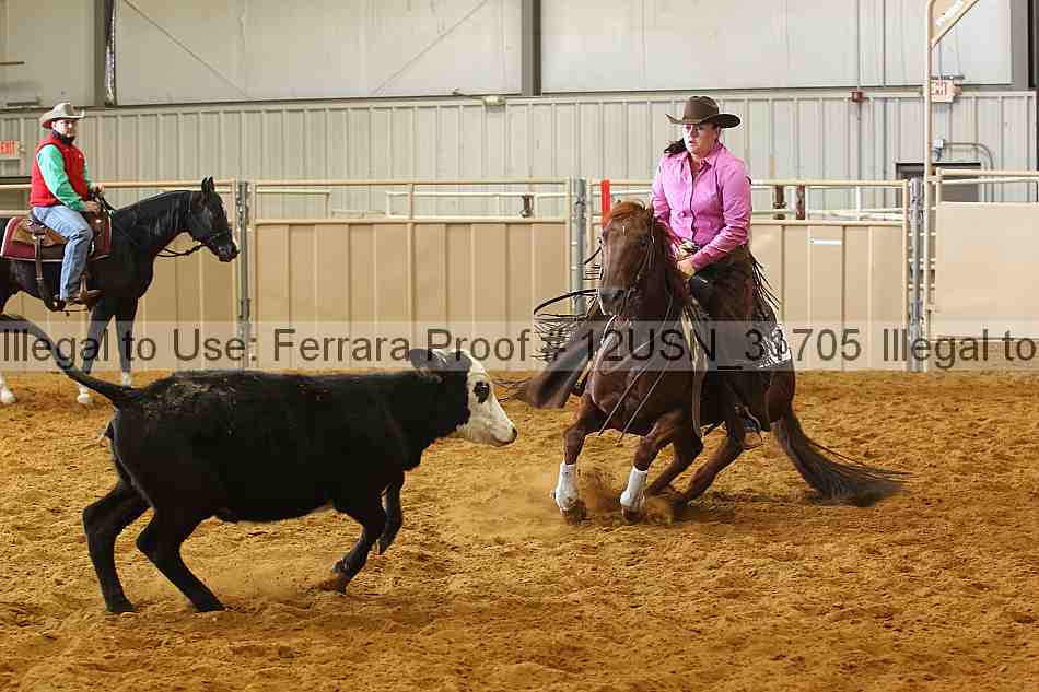 Proof 12usn_31705