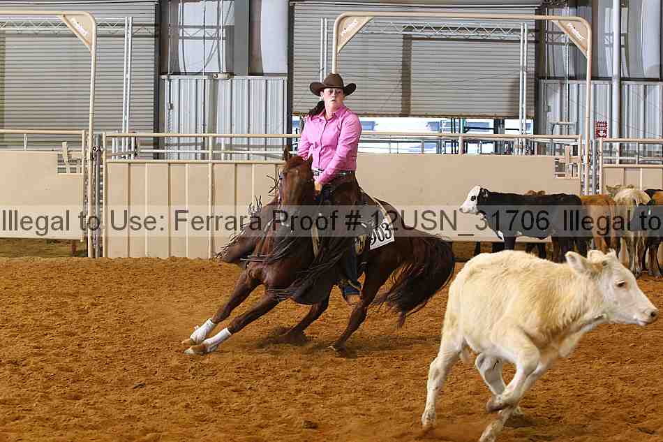 Proof 12usn_31706