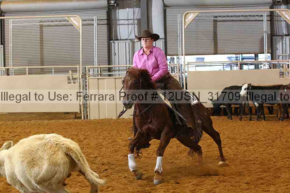 Proof 12usn_31709