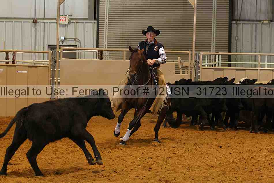 Proof 12usn_31723