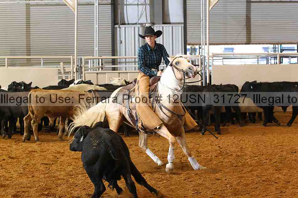 Proof 12usn_31727