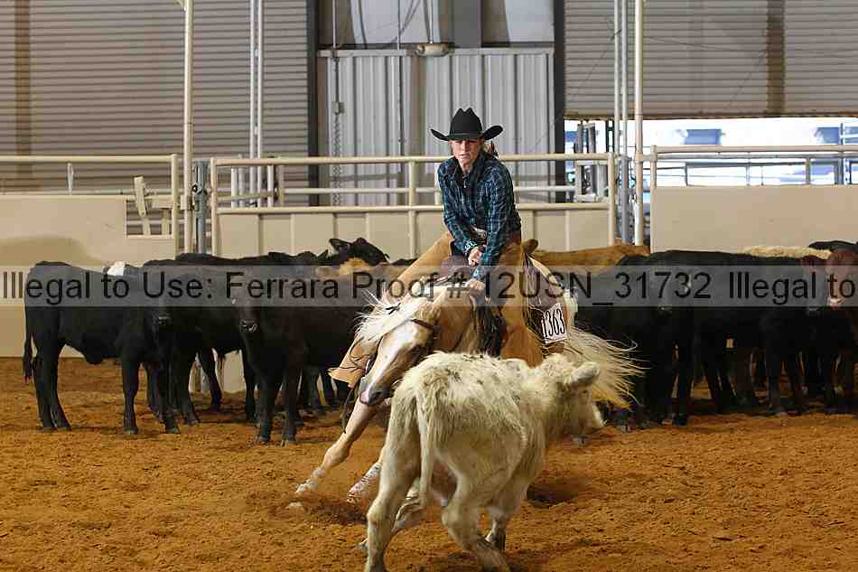 Proof 12usn_31732