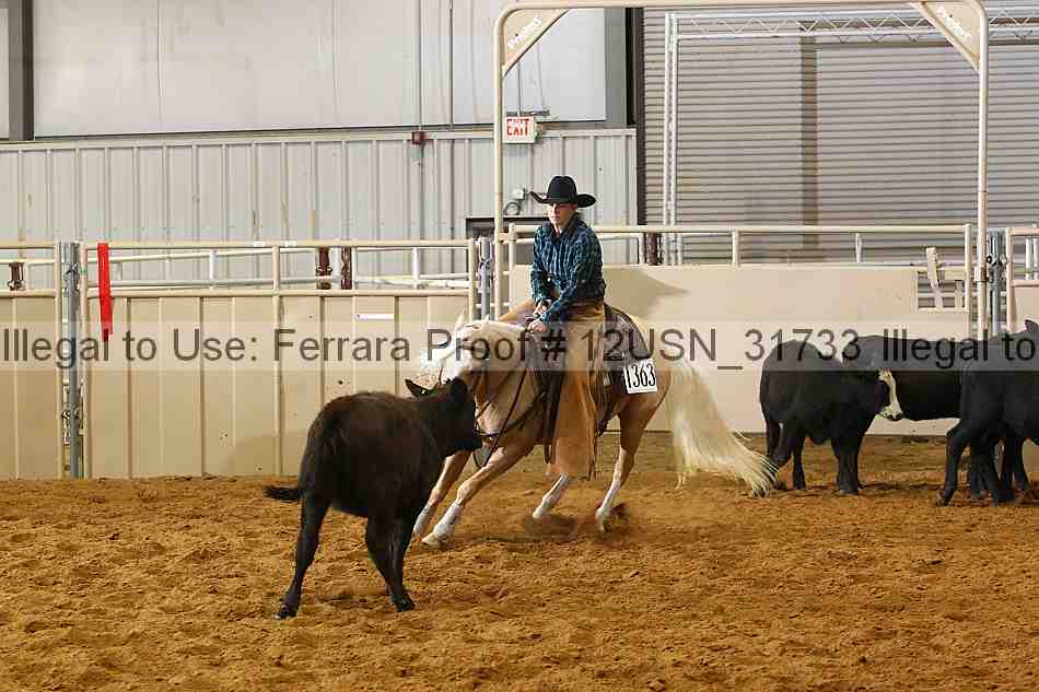 Proof 12usn_31733