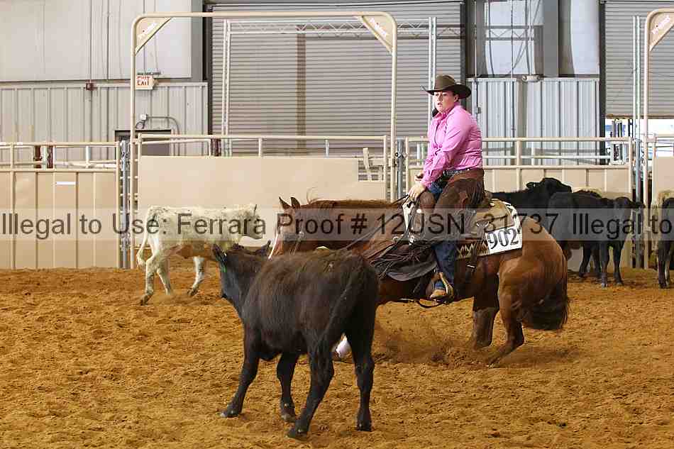 Proof 12usn_31737