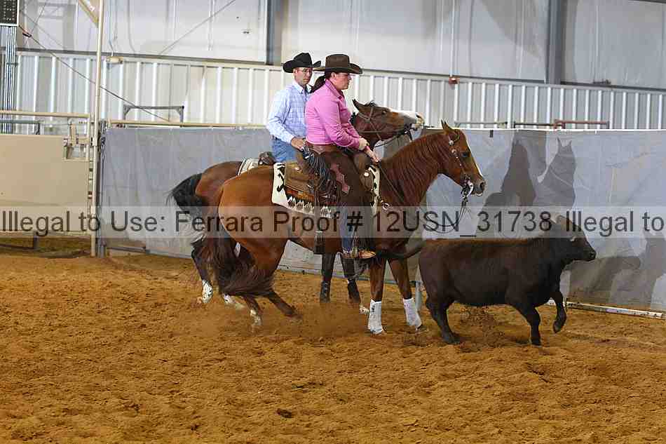 Proof 12usn_31738