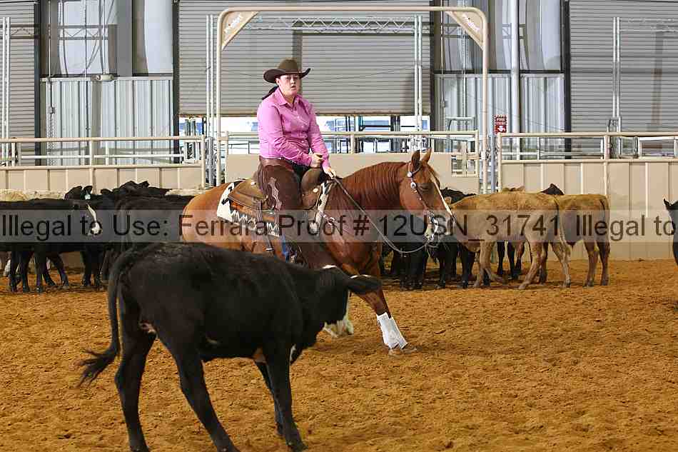 Proof 12usn_31741